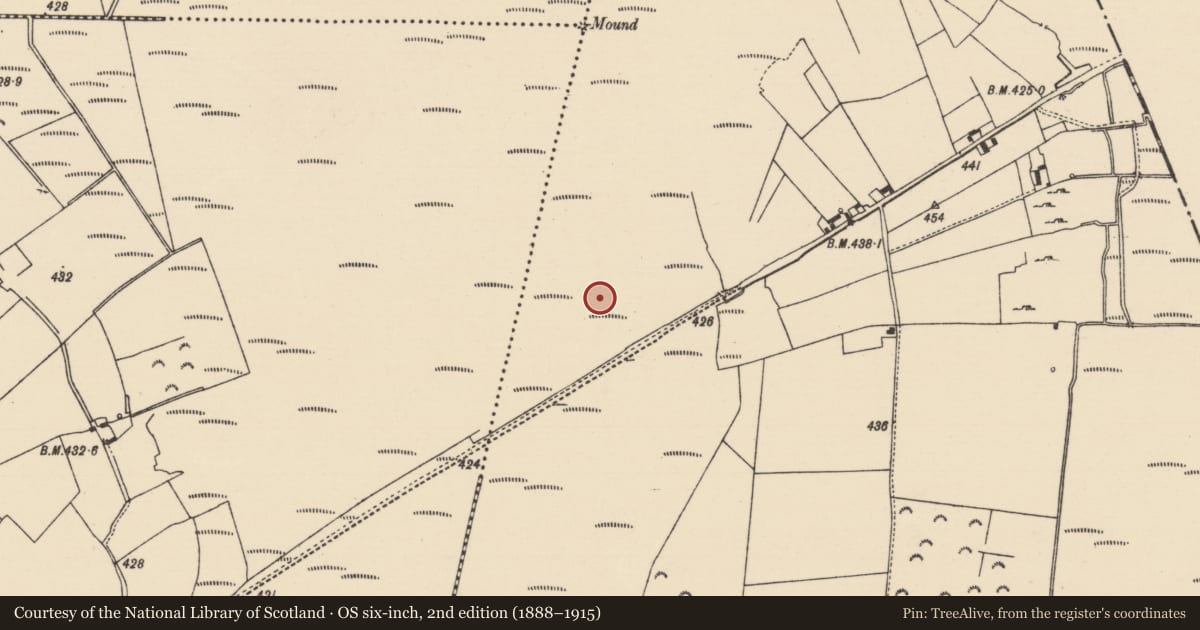 Ordnance Survey six-inch map, 2nd edition (1888–1915) covering the location of Road - unclassified togher, Derryfadda, County Tipperary North, with a pin at the register's coordinates