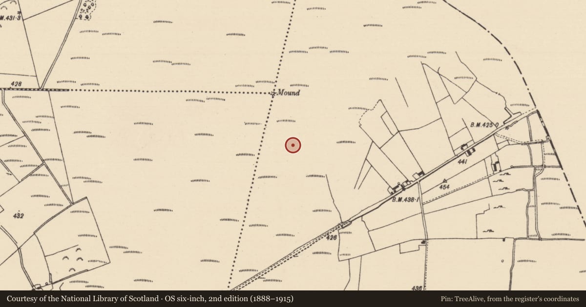 Ordnance Survey six-inch map, 2nd edition (1888–1915) covering the location of Road - road/trackway, Derryfadda, County Tipperary North, with a pin at the register's coordinates