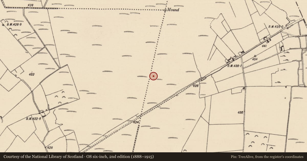 Ordnance Survey six-inch map, 2nd edition (1888–1915) covering the location of Road - road/trackway, Derryfadda, County Tipperary North, with a pin at the register's coordinates