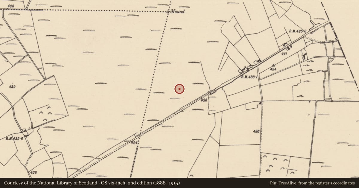 Ordnance Survey six-inch map, 2nd edition (1888–1915) covering the location of Road - unclassified togher, Derryfadda, County Tipperary North, with a pin at the register's coordinates