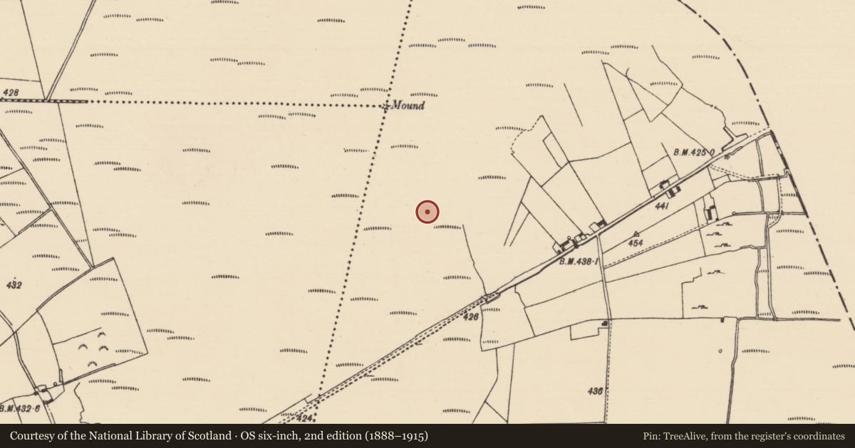 Ordnance Survey six-inch map, 2nd edition (1888–1915) covering the location of Road - unclassified togher, Derryfadda, County Tipperary North, with a pin at the register's coordinates