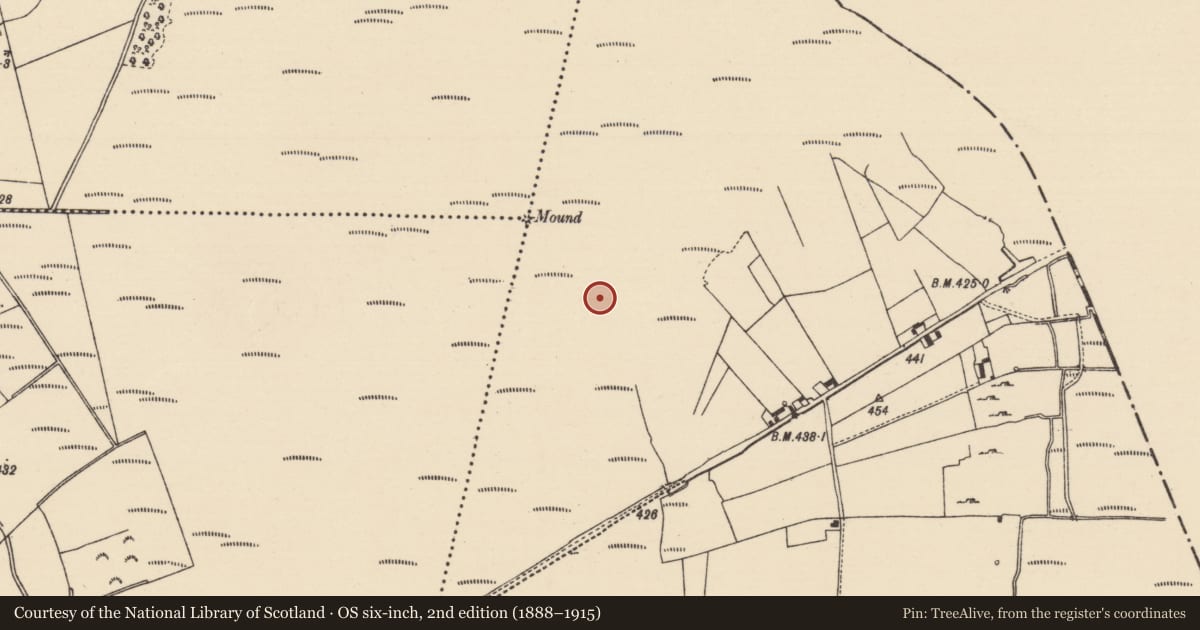 Ordnance Survey six-inch map, 2nd edition (1888–1915) covering the location of Road - unclassified togher, Derryfadda, County Tipperary North, with a pin at the register's coordinates