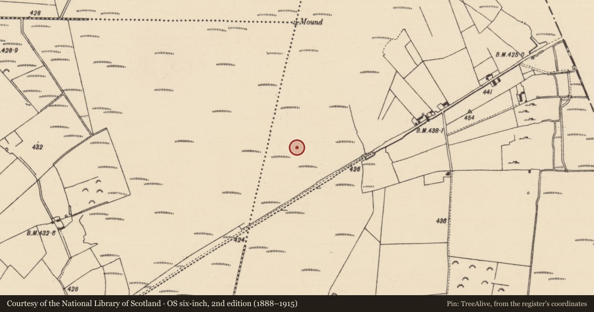 Ordnance Survey six-inch map, 2nd edition (1888–1915) covering the location of Road - unclassified togher, Derryfadda, County Tipperary North, with a pin at the register's coordinates