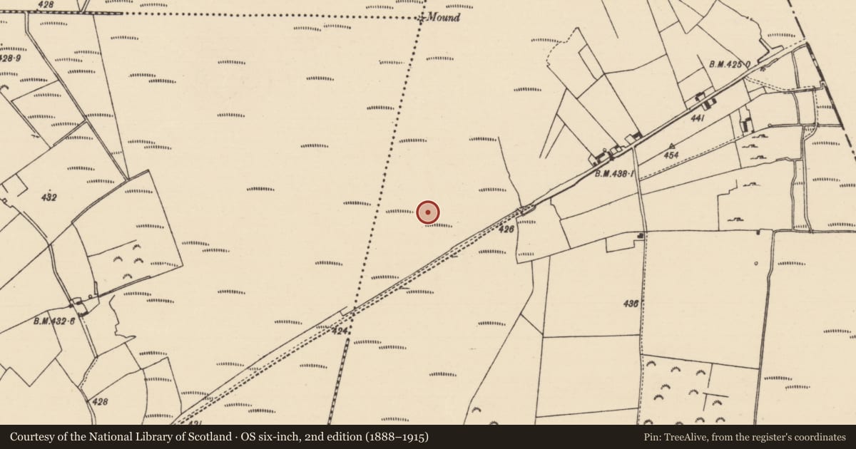 Ordnance Survey six-inch map, 2nd edition (1888–1915) covering the location of Road - unclassified togher, Derryfadda, County Tipperary North, with a pin at the register's coordinates