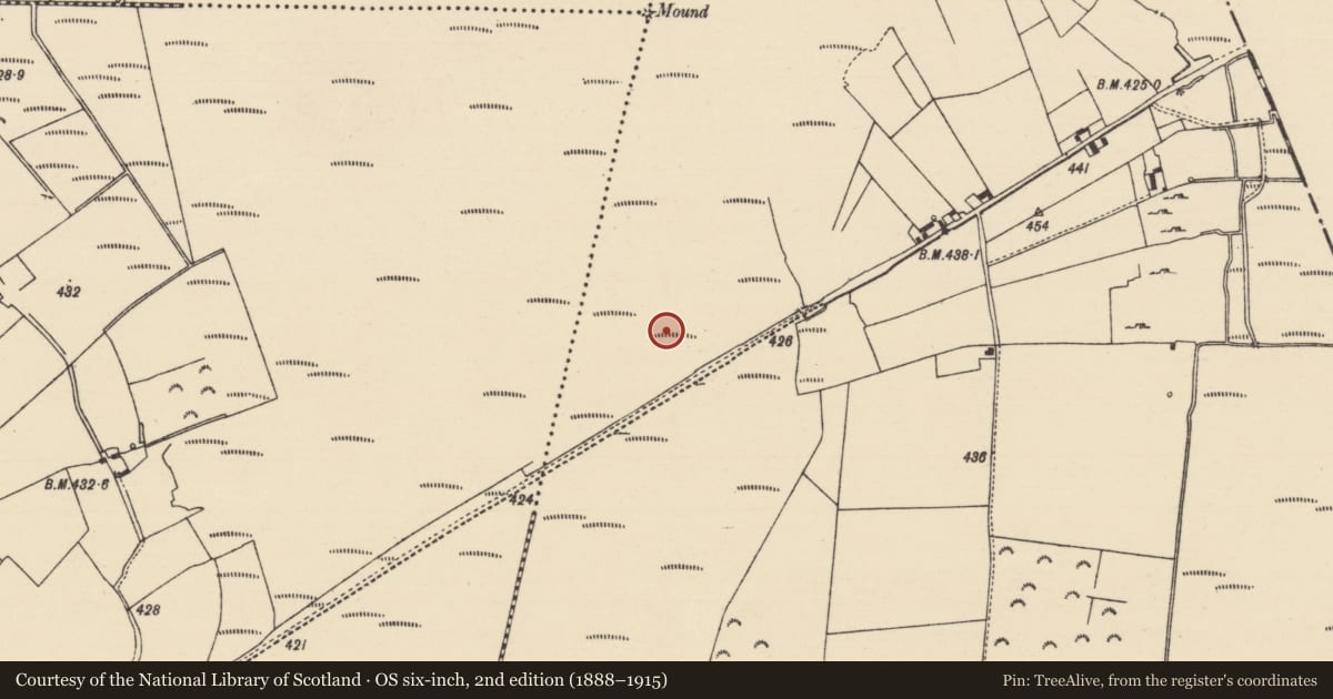 Ordnance Survey six-inch map, 2nd edition (1888–1915) covering the location of Platform - peatland, Derryfadda, County Tipperary North, with a pin at the register's coordinates