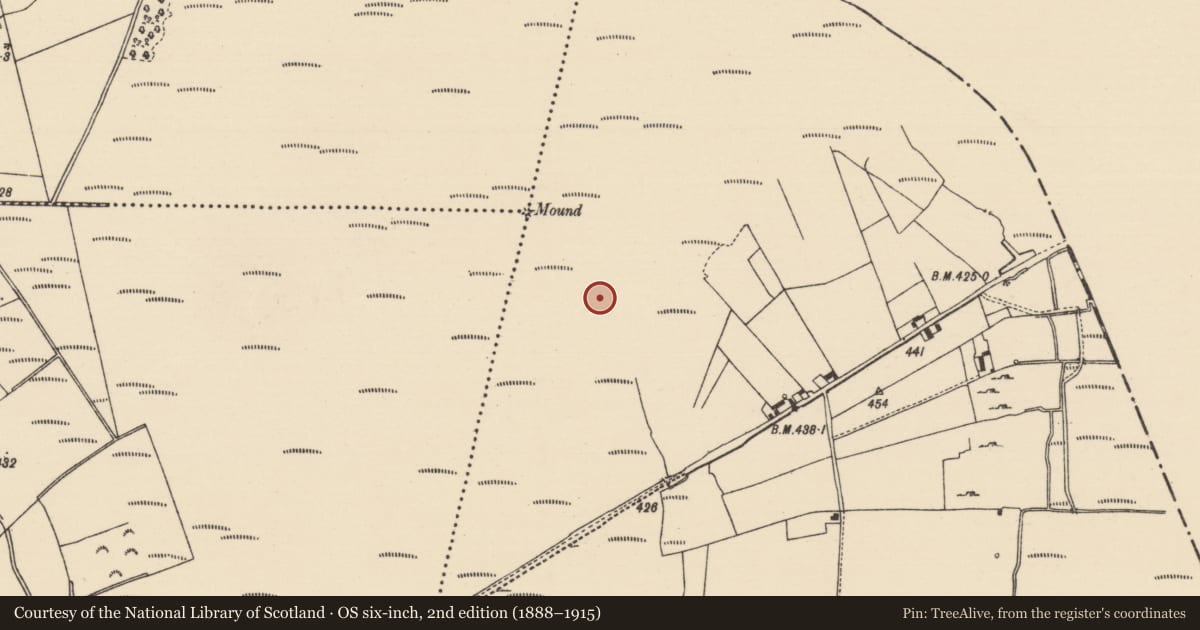 Ordnance Survey six-inch map, 2nd edition (1888–1915) covering the location of Road - unclassified togher, Derryfadda, County Tipperary North, with a pin at the register's coordinates