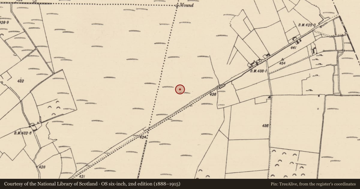 Ordnance Survey six-inch map, 2nd edition (1888–1915) covering the location of Road - road/trackway, Derryfadda, County Tipperary North, with a pin at the register's coordinates