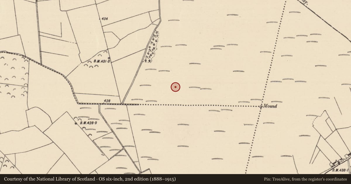 Ordnance Survey six-inch map, 2nd edition (1888–1915) covering the location of Road - road/trackway, Killoran (Moyne Par.), County Tipperary North, with a pin at the register's coordinates