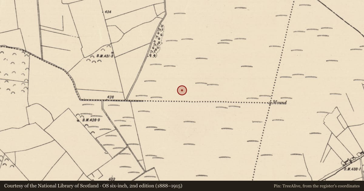 Ordnance Survey six-inch map, 2nd edition (1888–1915) covering the location of Road - unclassified togher, Killoran (Moyne Par.), County Tipperary North, with a pin at the register's coordinates