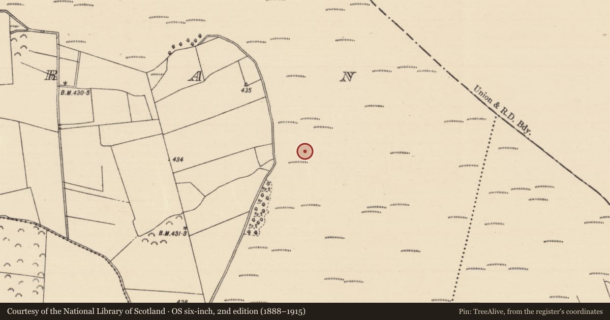 Ordnance Survey six-inch map, 2nd edition (1888–1915) covering the location of Hut site, Killoran (Moyne Par.), County Tipperary North, with a pin at the register's coordinates