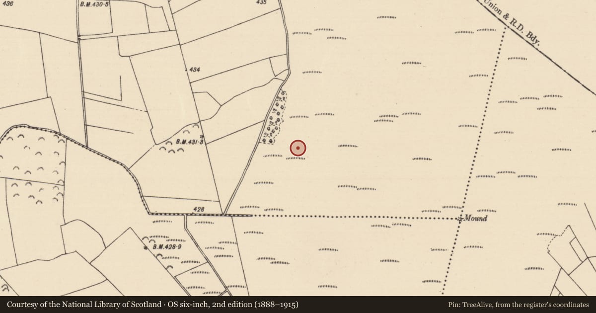 Ordnance Survey six-inch map, 2nd edition (1888–1915) covering the location of Road - unclassified togher, Killoran (Moyne Par.), County Tipperary North, with a pin at the register's coordinates