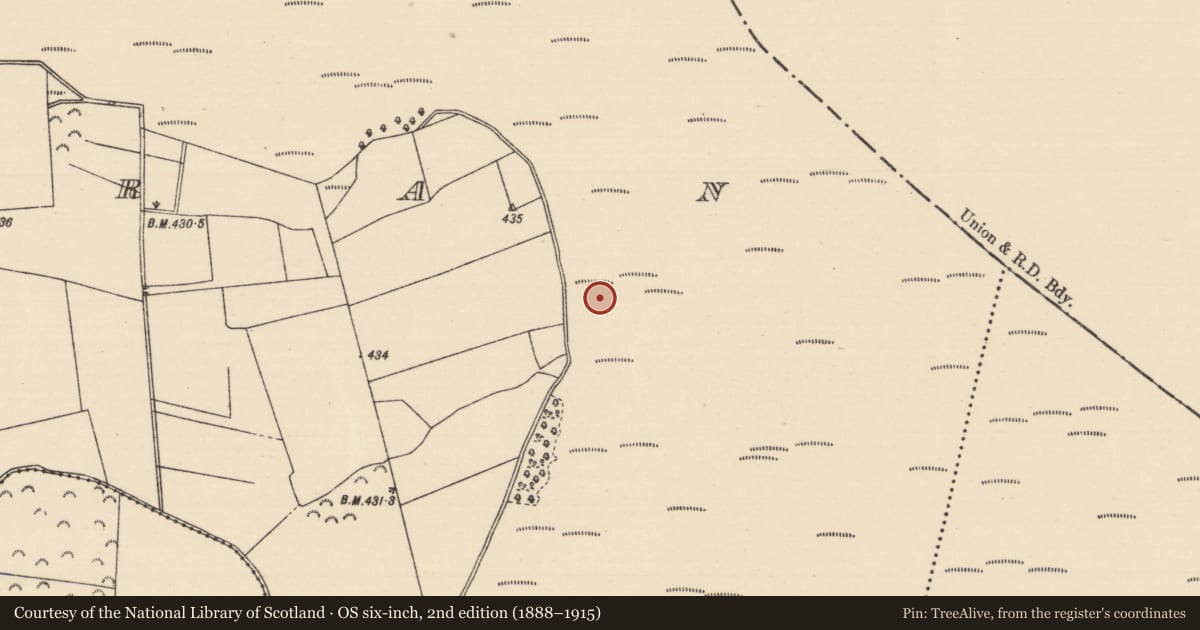 Ordnance Survey six-inch map, 2nd edition (1888–1915) covering the location of Road - unclassified togher, Killoran (Moyne Par.), County Tipperary North, with a pin at the register's coordinates