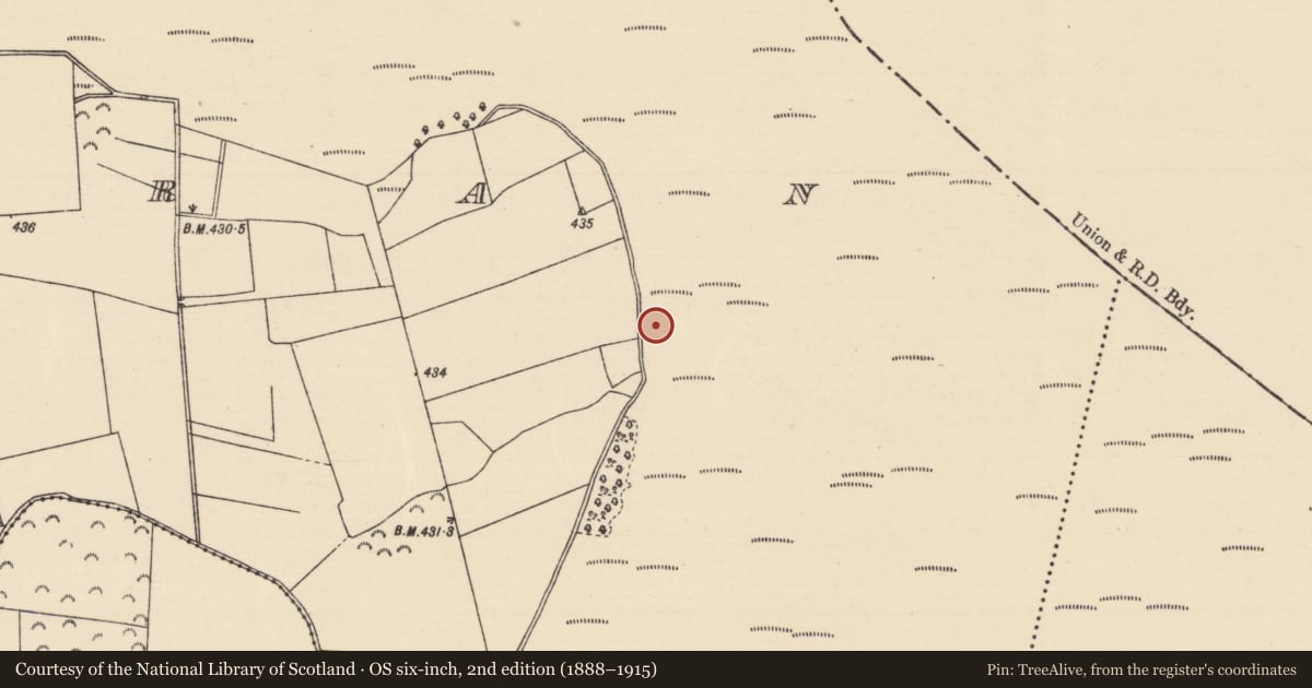Ordnance Survey six-inch map, 2nd edition (1888–1915) covering the location of Road - unclassified togher, Killoran (Moyne Par.), County Tipperary North, with a pin at the register's coordinates