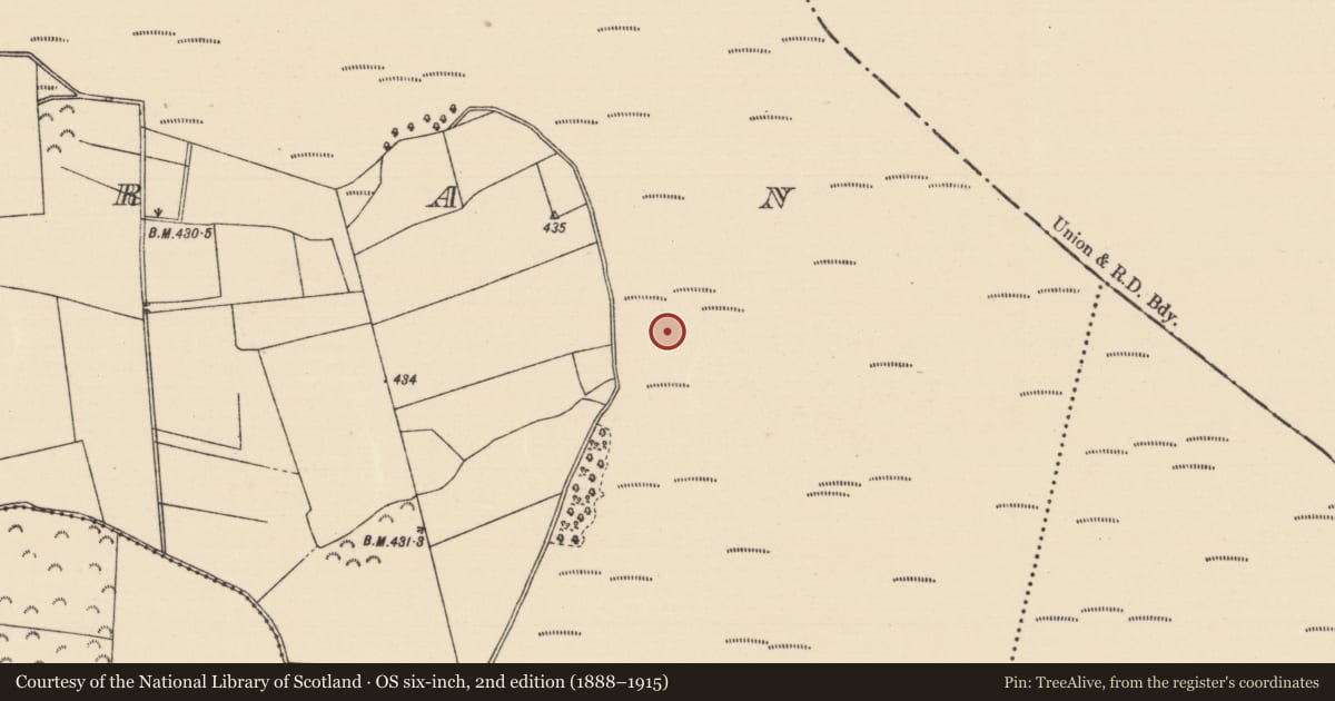 Ordnance Survey six-inch map, 2nd edition (1888–1915) covering the location of Road - unclassified togher, Killoran (Moyne Par.), County Tipperary North, with a pin at the register's coordinates
