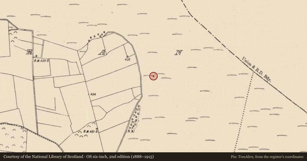 Ordnance Survey six-inch map, 2nd edition (1888–1915) covering the location of Road - unclassified togher, Killoran (Moyne Par.), County Tipperary North, with a pin at the register's coordinates