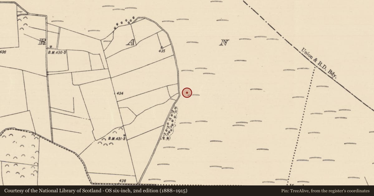 Ordnance Survey six-inch map, 2nd edition (1888–1915) covering the location of Fulacht fia, Killoran (Moyne Par.), County Tipperary North, with a pin at the register's coordinates