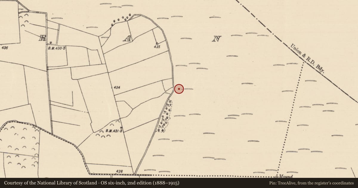 Ordnance Survey six-inch map, 2nd edition (1888–1915) covering the location of Road - unclassified togher, Killoran (Moyne Par.), County Tipperary North, with a pin at the register's coordinates