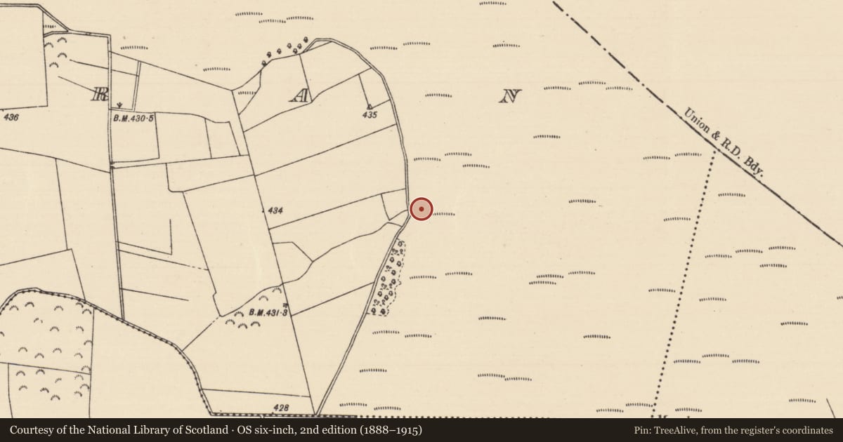 Ordnance Survey six-inch map, 2nd edition (1888–1915) covering the location of Road - unclassified togher, Killoran (Moyne Par.), County Tipperary North, with a pin at the register's coordinates