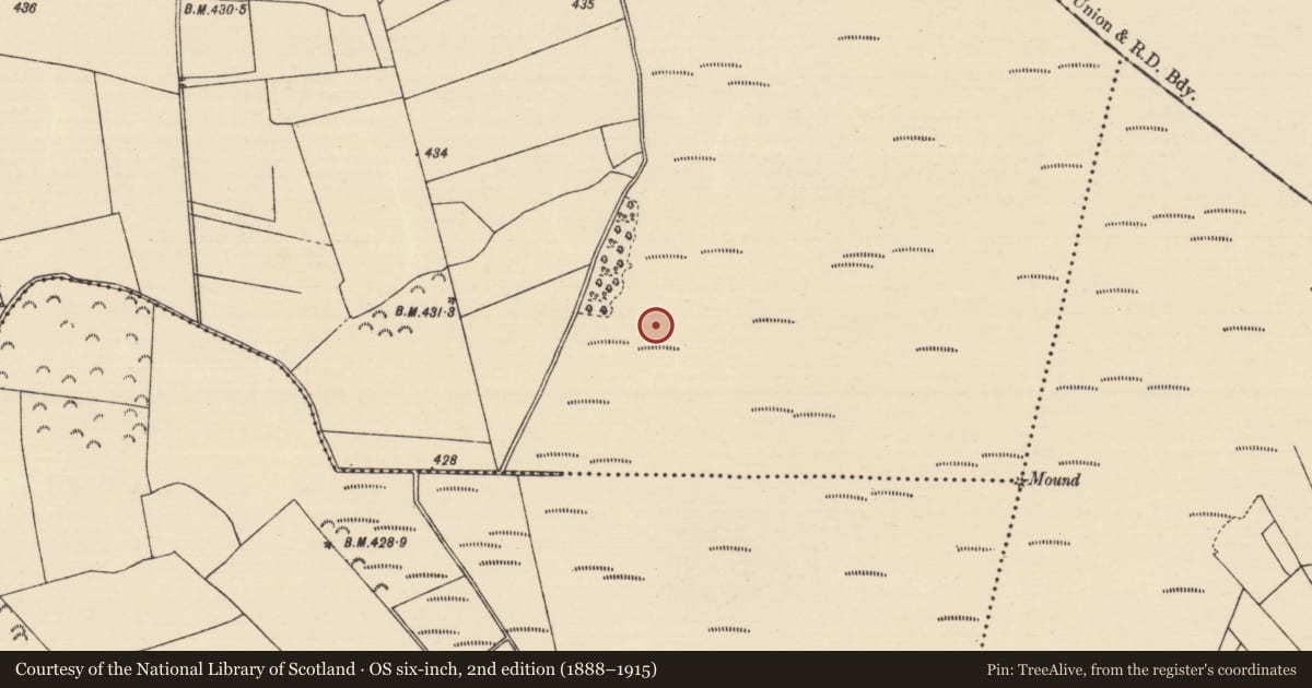 Ordnance Survey six-inch map, 2nd edition (1888–1915) covering the location of Road - unclassified togher, Killoran (Moyne Par.), County Tipperary North, with a pin at the register's coordinates