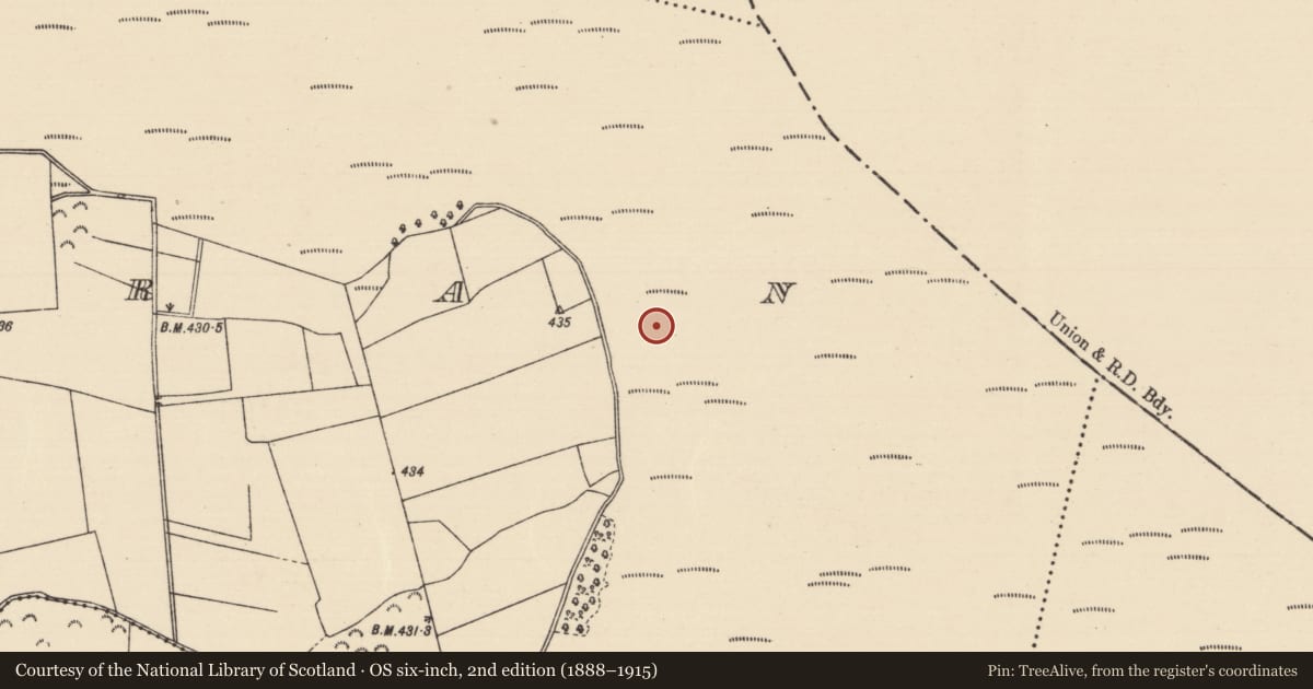 Ordnance Survey six-inch map, 2nd edition (1888–1915) covering the location of Fulacht fia, Killoran (Moyne Par.), County Tipperary North, with a pin at the register's coordinates