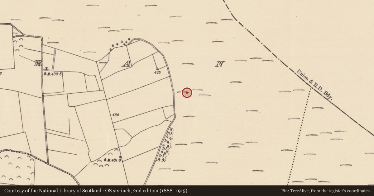 Ordnance Survey six-inch map, 2nd edition (1888–1915) covering the location of Fulacht fia, Killoran (Moyne Par.), County Tipperary North, with a pin at the register's coordinates