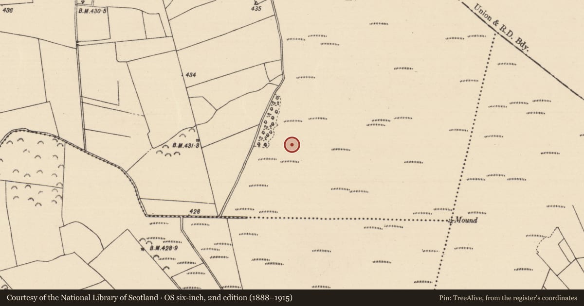 Ordnance Survey six-inch map, 2nd edition (1888–1915) covering the location of Road - unclassified togher, Killoran (Moyne Par.), County Tipperary North, with a pin at the register's coordinates
