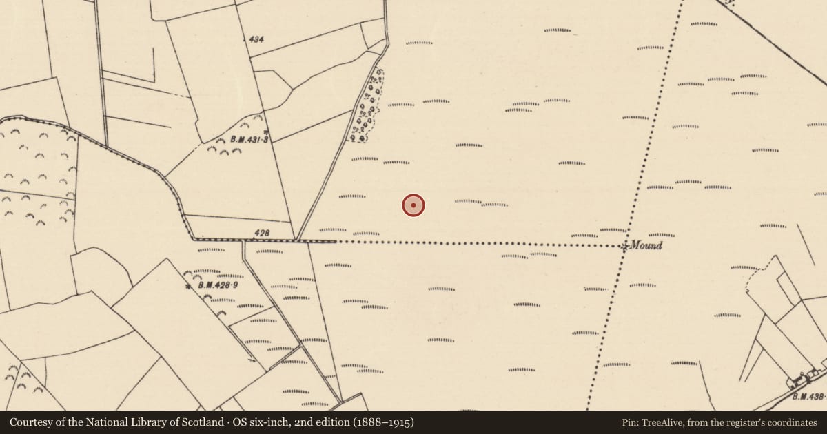 Ordnance Survey six-inch map, 2nd edition (1888–1915) covering the location of Road - unclassified togher, Killoran (Moyne Par.), County Tipperary North, with a pin at the register's coordinates