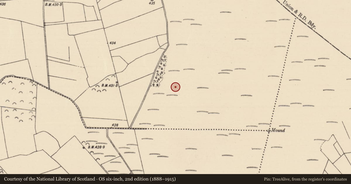 Ordnance Survey six-inch map, 2nd edition (1888–1915) covering the location of Road - unclassified togher, Killoran (Moyne Par.), County Tipperary North, with a pin at the register's coordinates