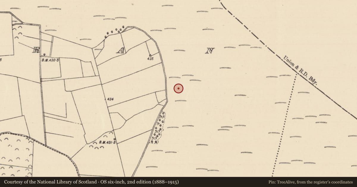 Ordnance Survey six-inch map, 2nd edition (1888–1915) covering the location of Road - unclassified togher, Killoran (Moyne Par.), County Tipperary North, with a pin at the register's coordinates