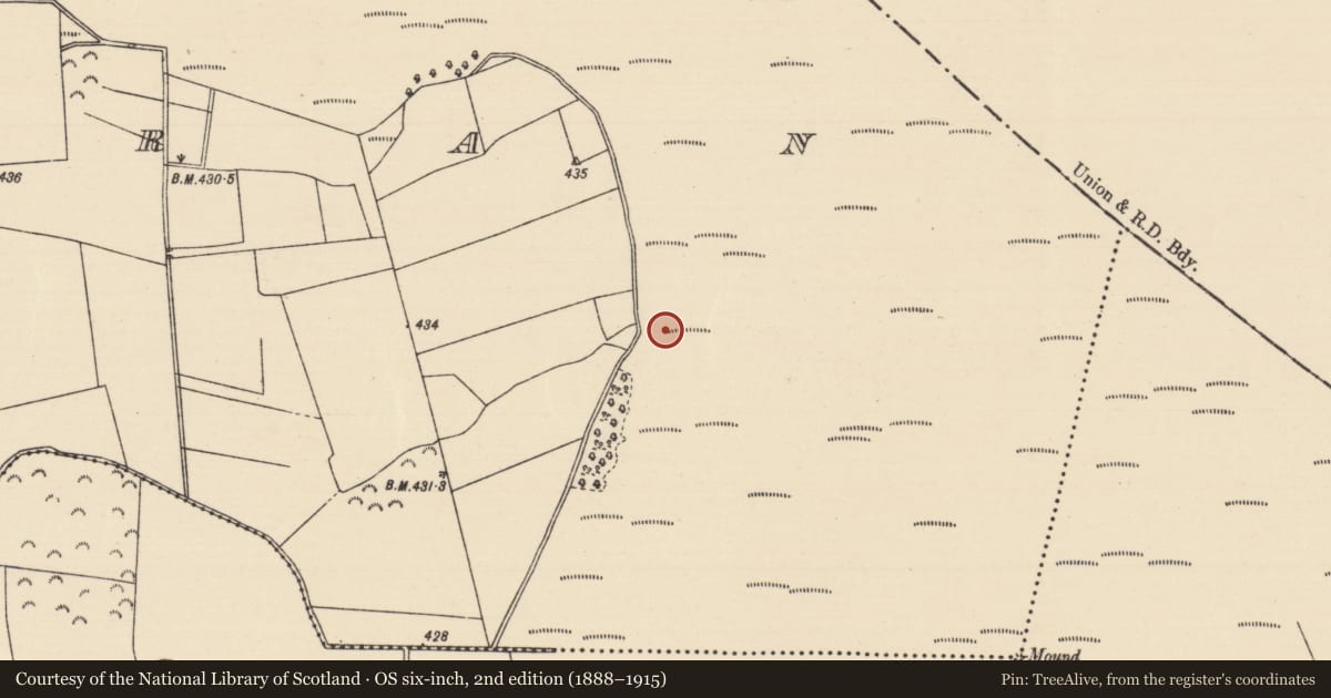Ordnance Survey six-inch map, 2nd edition (1888–1915) covering the location of Road - unclassified togher, Killoran (Moyne Par.), County Tipperary North, with a pin at the register's coordinates