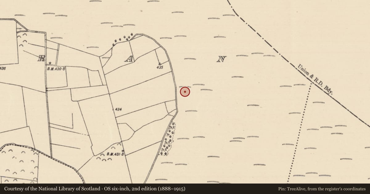 Ordnance Survey six-inch map, 2nd edition (1888–1915) covering the location of Road - unclassified togher, Killoran (Moyne Par.), County Tipperary North, with a pin at the register's coordinates