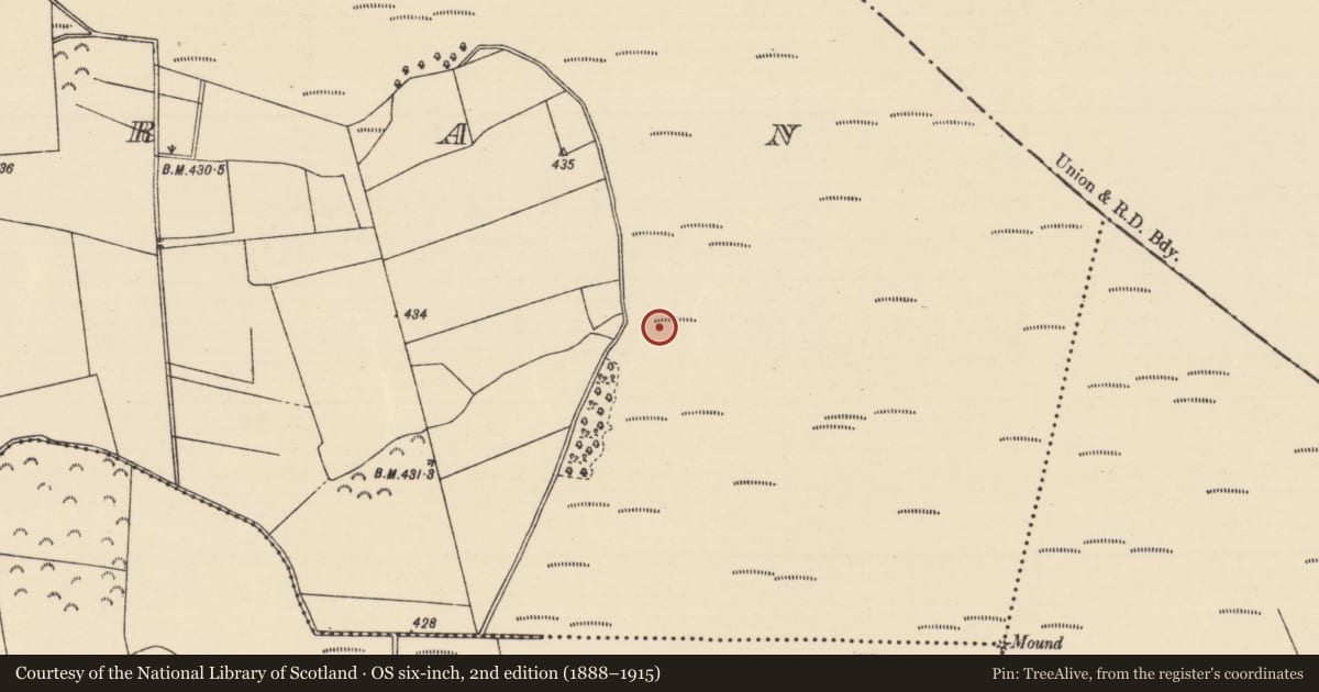 Ordnance Survey six-inch map, 2nd edition (1888–1915) covering the location of Burnt mound, Killoran (Moyne Par.), County Tipperary North, with a pin at the register's coordinates