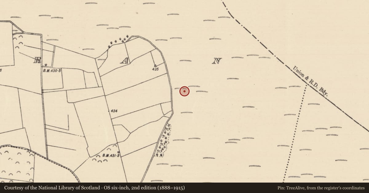 Ordnance Survey six-inch map, 2nd edition (1888–1915) covering the location of Fulacht fia, Killoran (Moyne Par.), County Tipperary North, with a pin at the register's coordinates
