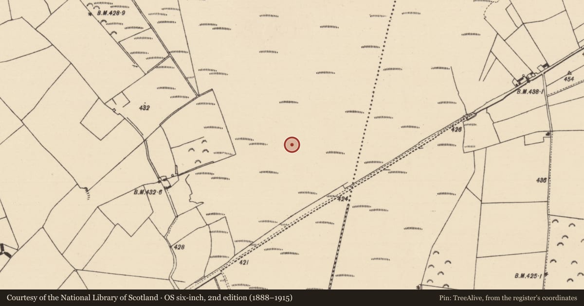 Ordnance Survey six-inch map, 2nd edition (1888–1915) covering the location of Road - unclassified togher, Cooleeny, County Tipperary North, with a pin at the register's coordinates