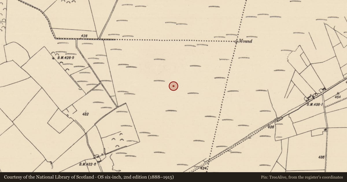 Ordnance Survey six-inch map, 2nd edition (1888–1915) covering the location of Road - unclassified togher, Cooleeny, County Tipperary North, with a pin at the register's coordinates