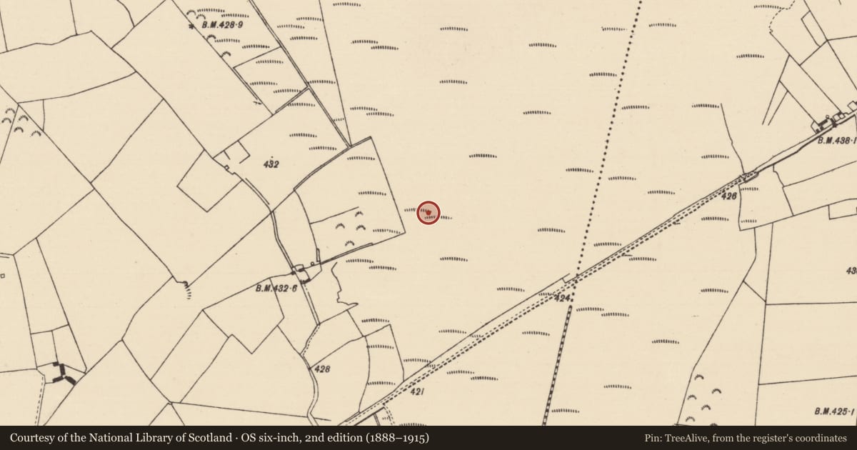 Ordnance Survey six-inch map, 2nd edition (1888–1915) covering the location of Platform - peatland, Cooleeny, County Tipperary North, with a pin at the register's coordinates