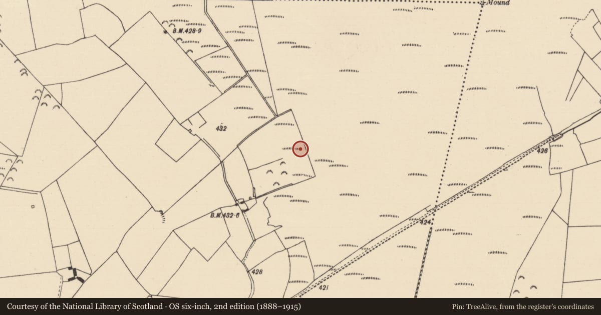 Ordnance Survey six-inch map, 2nd edition (1888–1915) covering the location of Fulacht fia, Cooleeny, County Tipperary North, with a pin at the register's coordinates