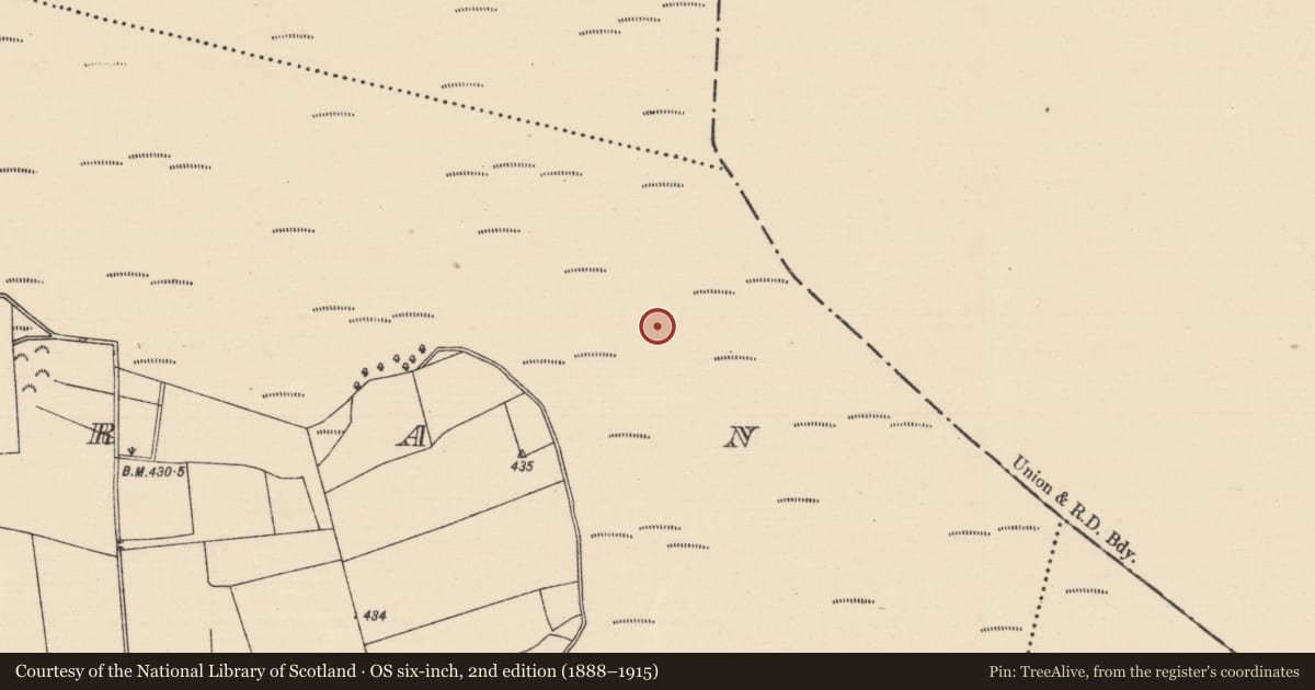 Ordnance Survey six-inch map, 2nd edition (1888–1915) covering the location of Road - unclassified togher, Killoran (Moyne Par.), County Tipperary North, with a pin at the register's coordinates