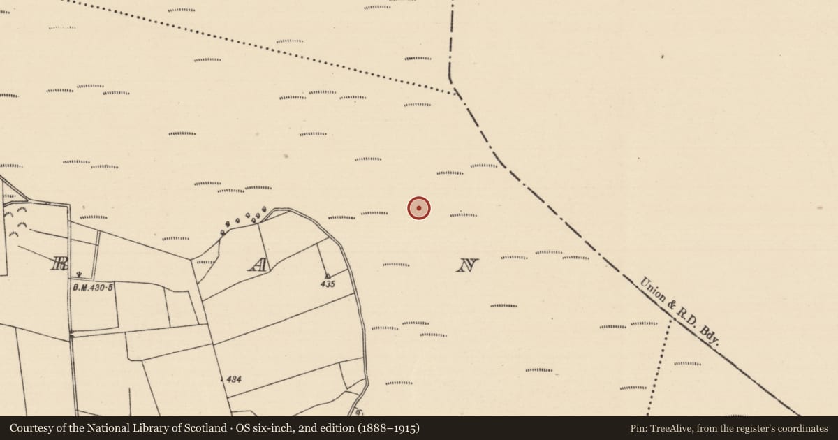 Ordnance Survey six-inch map, 2nd edition (1888–1915) covering the location of Fulacht fia, Killoran (Moyne Par.), County Tipperary North, with a pin at the register's coordinates