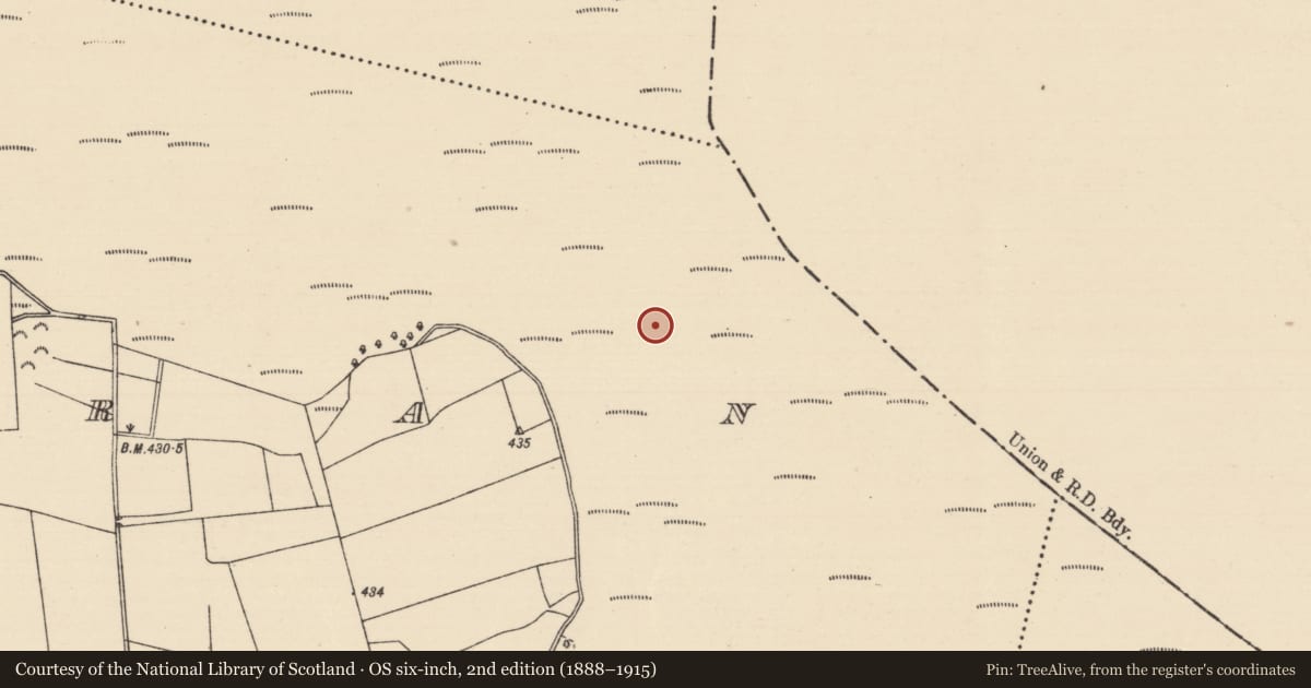 Ordnance Survey six-inch map, 2nd edition (1888–1915) covering the location of Fulacht fia, Killoran (Moyne Par.), County Tipperary North, with a pin at the register's coordinates