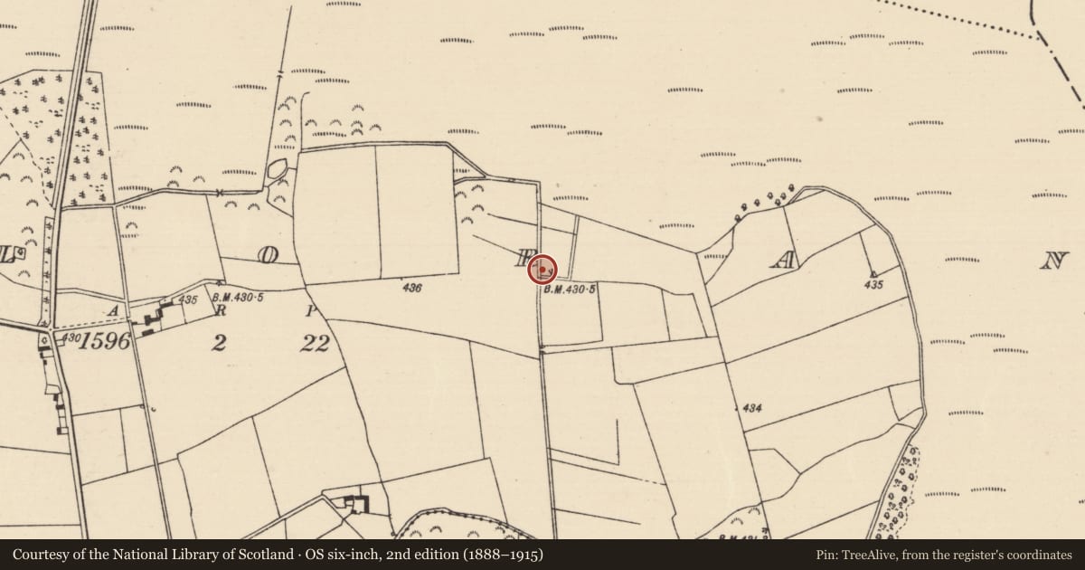 Ordnance Survey six-inch map, 2nd edition (1888–1915) covering the location of House - indeterminate date, Killoran (Moyne Par.), County Tipperary North, with a pin at the register's coordinates
