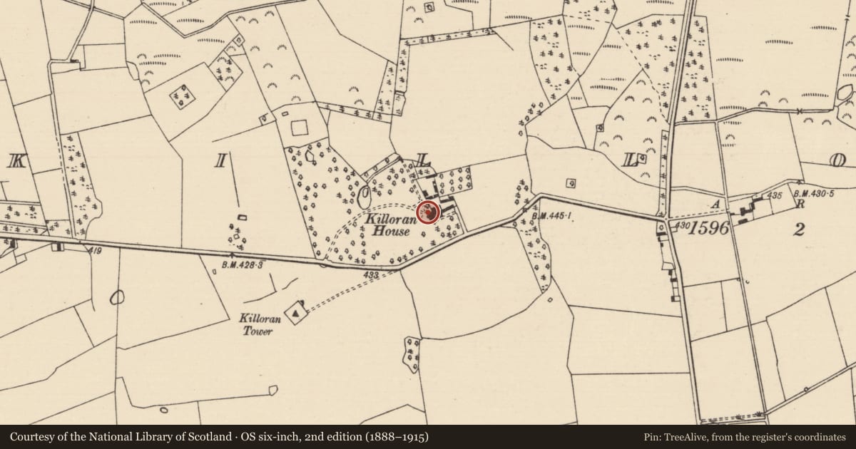 Ordnance Survey six-inch map, 2nd edition (1888–1915) covering the location of House - indeterminate date, Killoran (Moyne Par.), County Tipperary North, with a pin at the register's coordinates