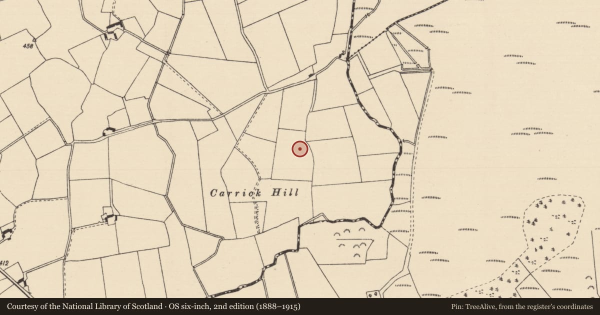 Ordnance Survey six-inch map, 2nd edition (1888–1915) covering the location of Burnt pit, Barnalisheen, County Tipperary North, with a pin at the register's coordinates