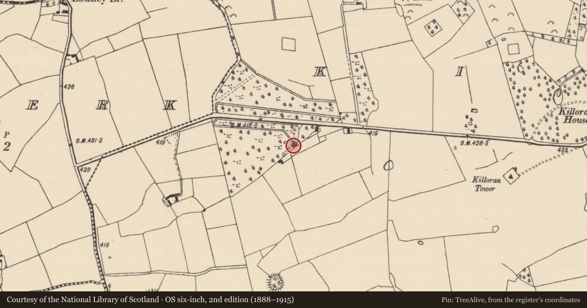 Ordnance Survey six-inch map, 2nd edition (1888–1915) covering the location of Road - road/trackway, Killoran (Moyne Par.), County Tipperary North, with a pin at the register's coordinates