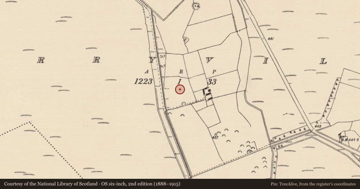 Ordnance Survey six-inch map, 2nd edition (1888–1915) covering the location of Fulacht fia, Derryville, County Tipperary North, with a pin at the register's coordinates