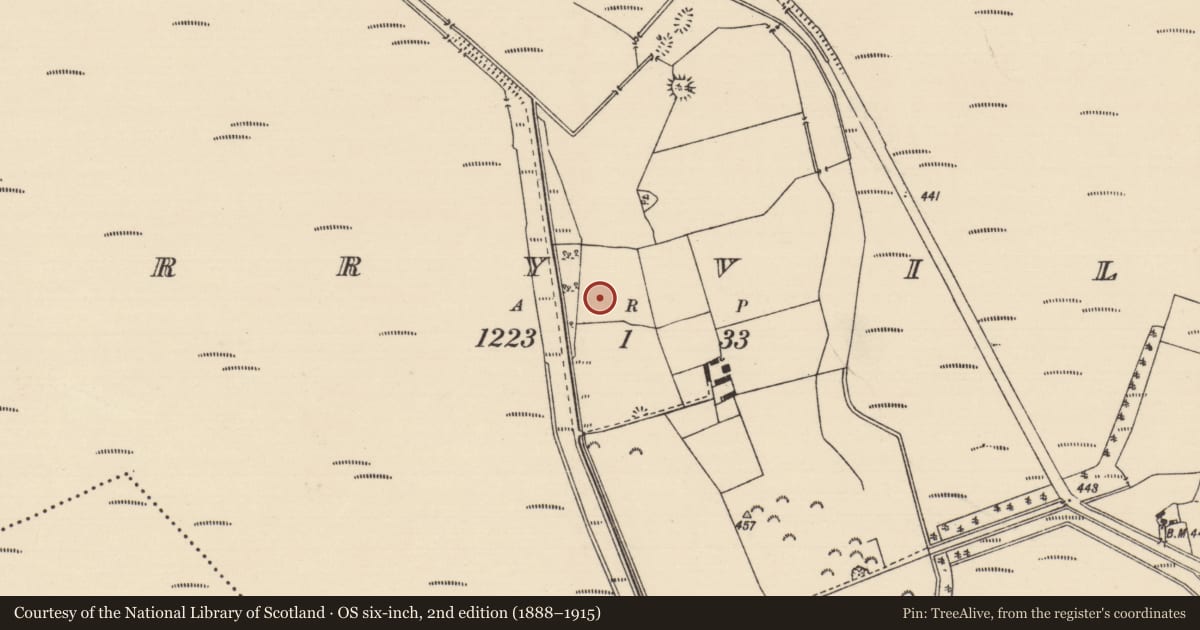 Ordnance Survey six-inch map, 2nd edition (1888–1915) covering the location of Burnt spread, Derryville, County Tipperary North, with a pin at the register's coordinates