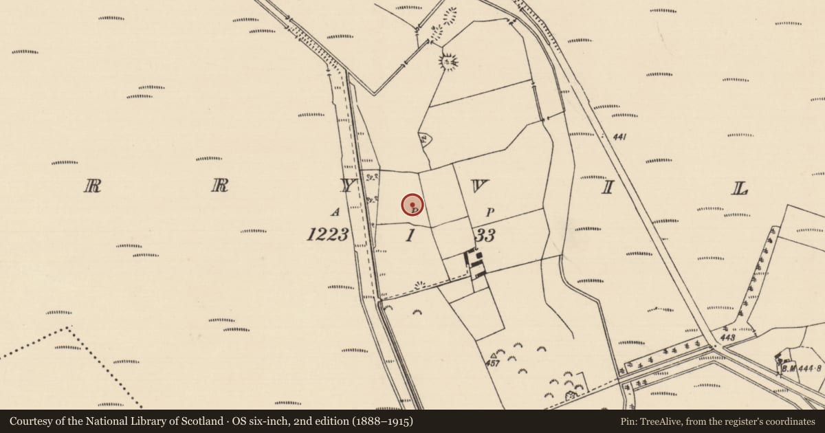 Ordnance Survey six-inch map, 2nd edition (1888–1915) covering the location of Fulacht fia, Derryville, County Tipperary North, with a pin at the register's coordinates