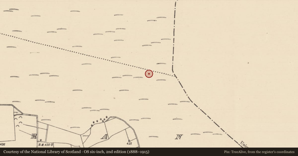 Ordnance Survey six-inch map, 2nd edition (1888–1915) covering the location of Structure - peatland, Killoran (Moyne Par.), County Tipperary North, with a pin at the register's coordinates
