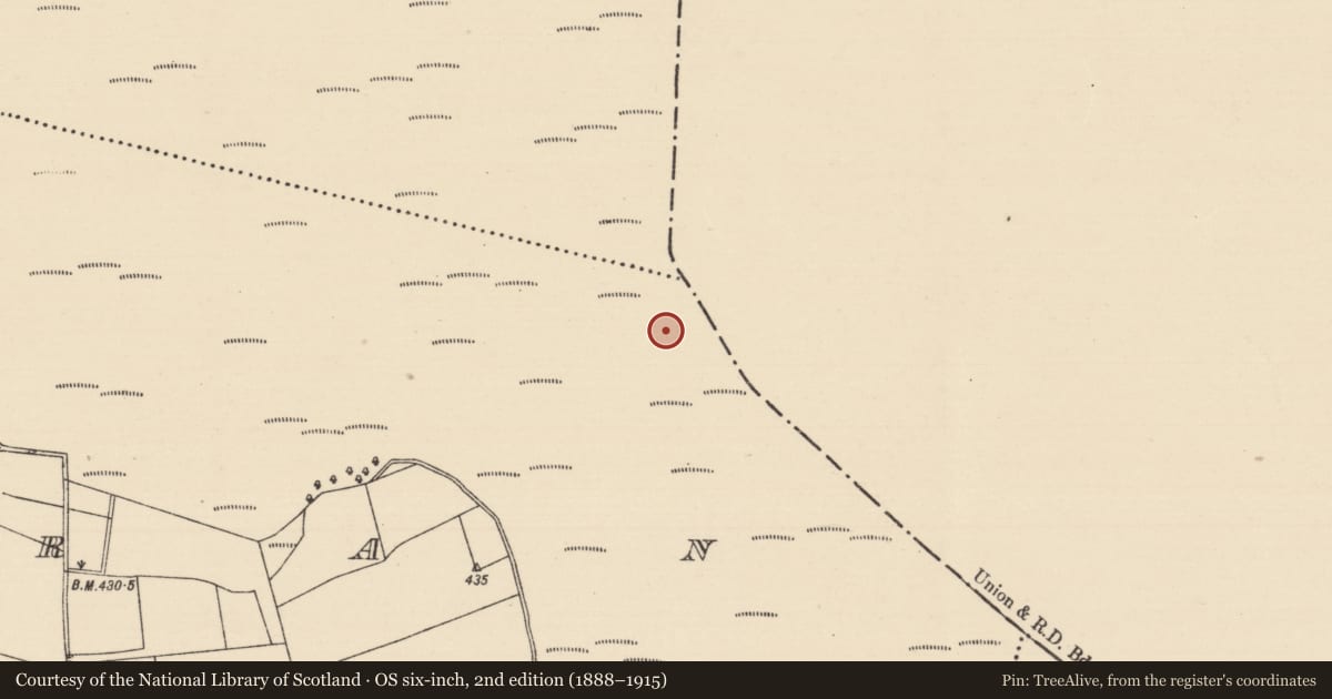 Ordnance Survey six-inch map, 2nd edition (1888–1915) covering the location of Structure - peatland, Killoran (Moyne Par.), County Tipperary North, with a pin at the register's coordinates