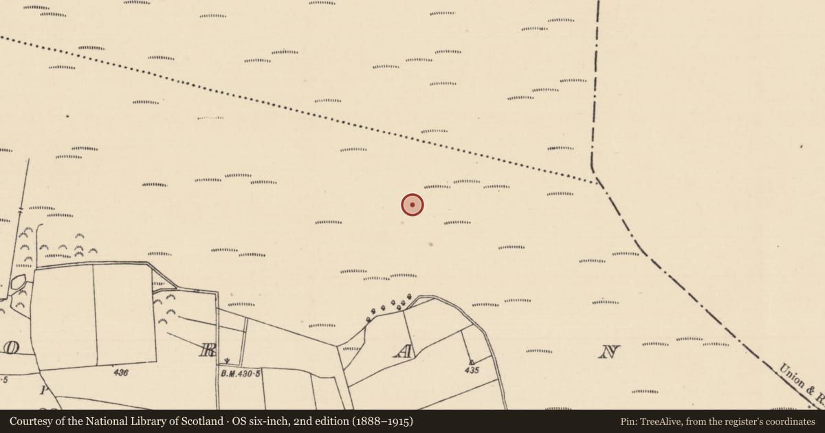 Ordnance Survey six-inch map, 2nd edition (1888–1915) covering the location of Structure - peatland, Killoran (Moyne Par.), County Tipperary North, with a pin at the register's coordinates
